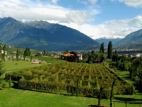Der Labyrinthgarten und das Weingut Kränzelhof