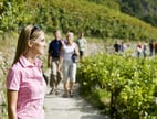 Gartendorf Algund bei Meran